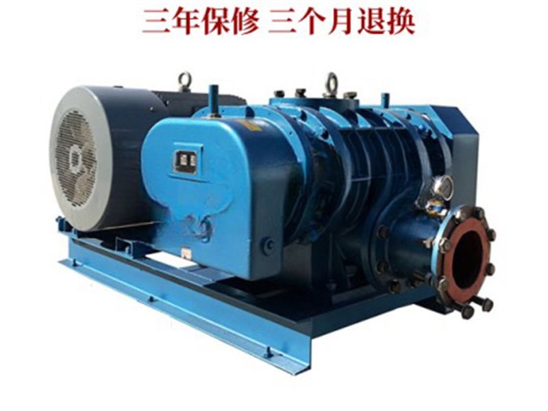 羅茨鼓風(fēng)機(jī)